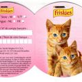 Friskies Junior 400g 31/12/09