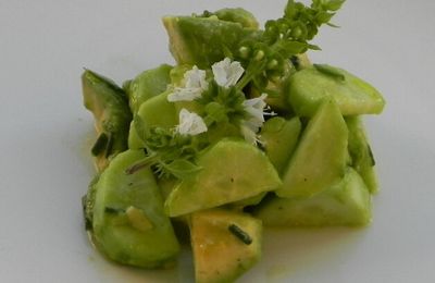 Salade avocat et concombre