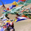 Trek dans la vallée du Sham 2ème partie. Ladakh part 5