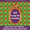 ✭Noël au pays des merveilles✭