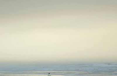 "The Crooked Carty Sings…" de Michael J. Sheehy : à la redécouverte de ses racines irlandaises…