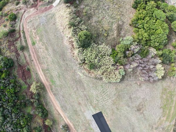 LA TAILLE DES CANNES A ÉTÉ RÉALISÉE.