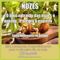 MENSAGEM DO DIA 26 DE ABRIL: Nozes