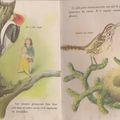 Je recherche ce livre d'enfant sur les oiseaux....