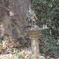 Laos de Vientiane à Luang-Prabang (7/17). Au Laos, bouddhisme et animisme.