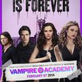 Nouveau poster Vampire Academy