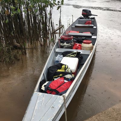 Bonjour à toutes et tous... le temps passe