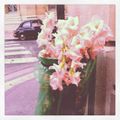 Floraison urbaine