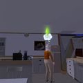 Sims 2: sims bloqué ne pouvant effectuer une action.