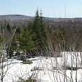 Cabane à sucre. Deuxième