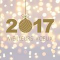 Bonne année à toutes !!!!!!!!!