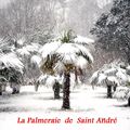 LA PALMERAIE DE SAINT ANDRE