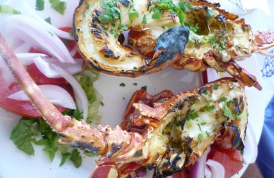 HOMARD GRILLE ET OUZO