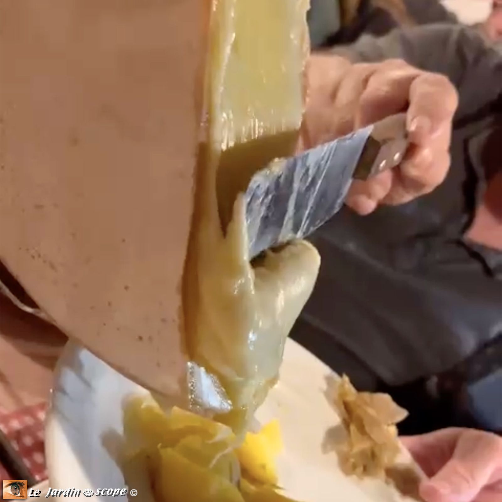 La vraie de vraie raclette savoyarde
