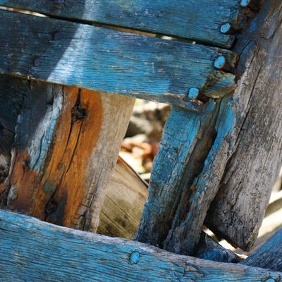 Vestiges