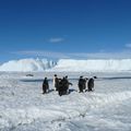 +2,4°C : c'est l'été !