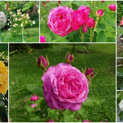 Le bouquet du weekend