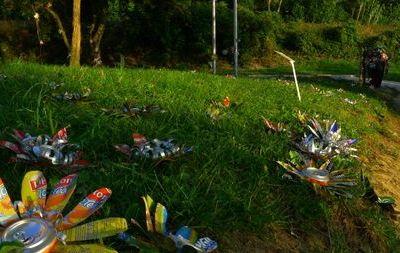 Mauvaise Graine (Canetta Calamitas Perennis)