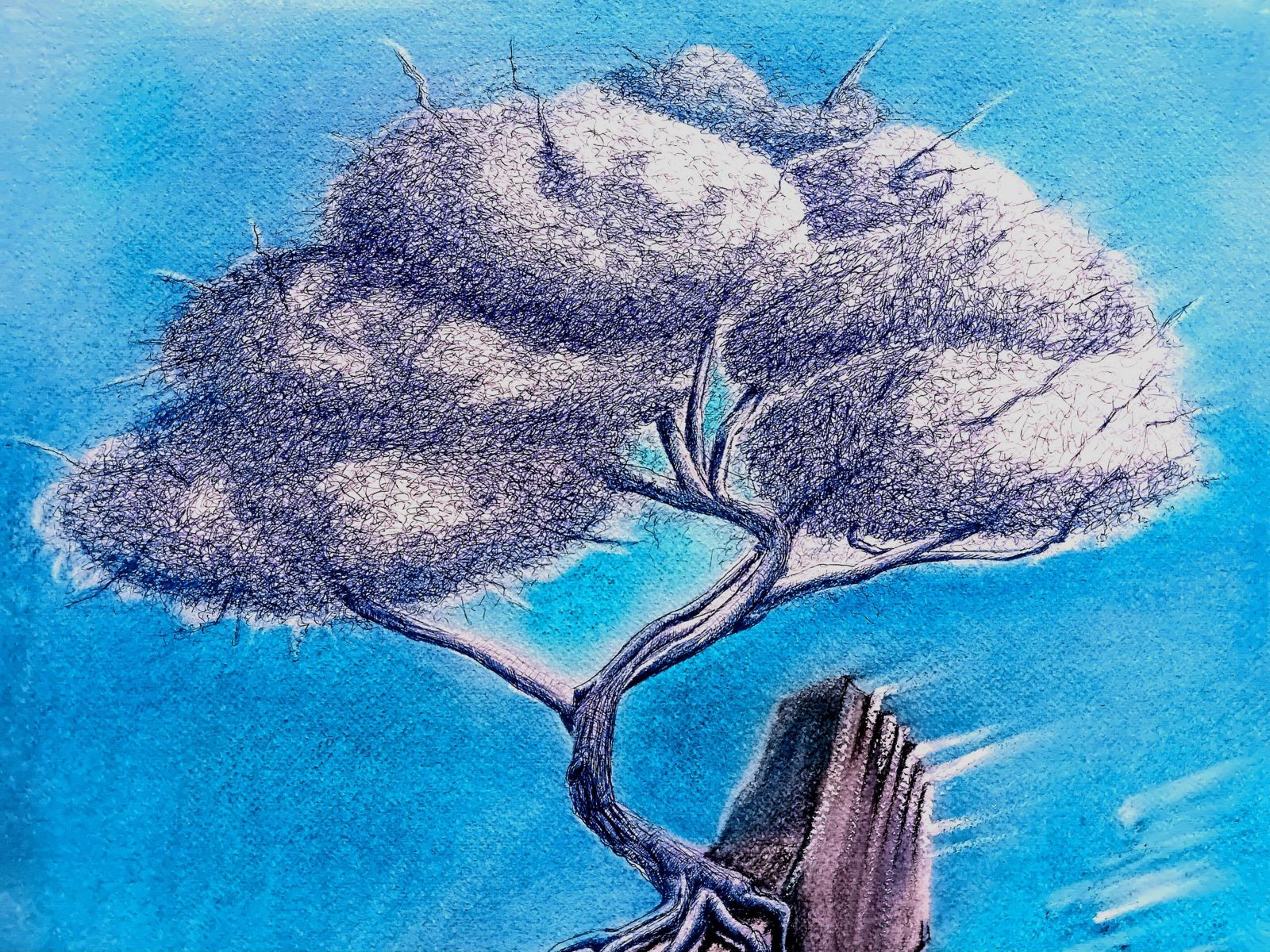 Arbre suspendu sur un rocher flottant. Stylo Bic et crayon, pierre noire, fusain et crayon de couleur. 