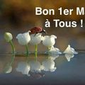 Bon 1er Mai