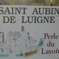 St Aubin de Luigné : des perles sur les rives du Layon!...