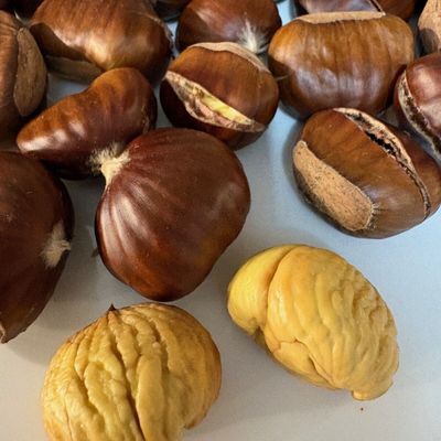 Chataignes roties airfryer ( super rapide)