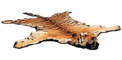 Peaux de tigre, d'ours, de zèbres et de waterbok