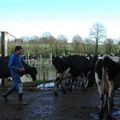 Rencontre avec un agriculteur laitier bio