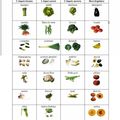 Conservation des légumes au réfrigérateur 