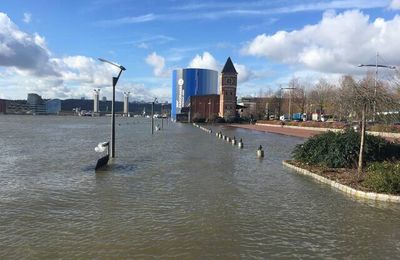 L'alerte du GIEC NORMAND: le changement climatique pourrait affecter la navigation sur la Seine dès 2050...