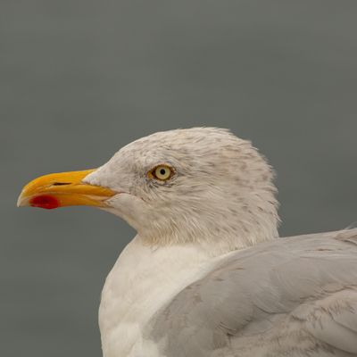 Séjour en haut pays bigouden
