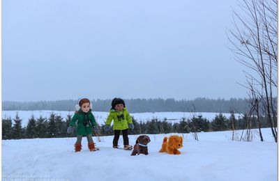 Promenade du 26 janvier sous la neige