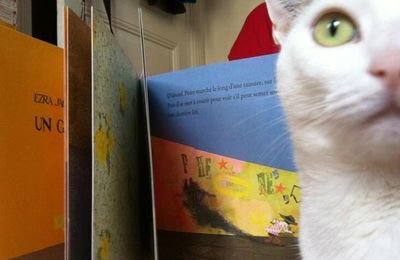 Un garçon sachant siffler - Ezra Jack Keats