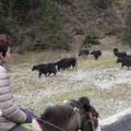 Deux jours à cheval