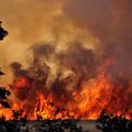 Méga-incendie : "Cela arrivera certainement un jour et probablement dans les Landes"