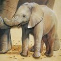 tableaux elephants en 3D