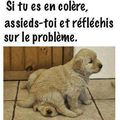 Un conseil... 