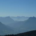 Chartreuse d ' Arvières