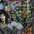 IDW TMNT Teenage Mutant Ninja Turtles the ultimate collection