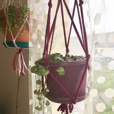 Suspensions végétales