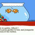 Divorces et familles recomposées - Atelier jeu autour du livre