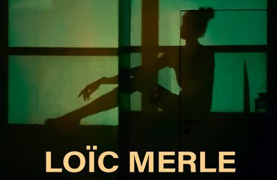Romancier de Lyon : «Provinces de la nuit » de Loic Merle