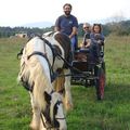 Un petit tour en calèche