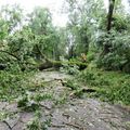 Orages : Des dégâts à Merle