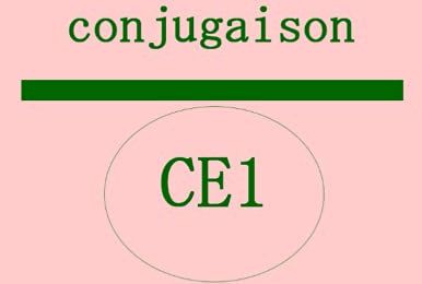 Cahier de conjugaison: Apprendre à conjuguer les verbes du 1er, 2ème, 3ème groupe au présent et à l’imparfait de l’indicatif : c
