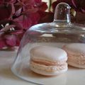 Des feuilles mortes et des macarons