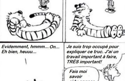 Calvin fait la leçon à Hobbes