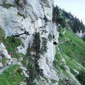 L'arche à l'aiguille