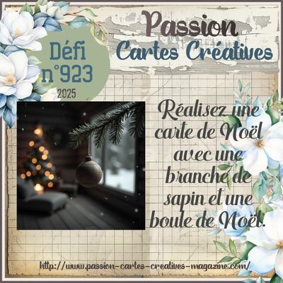 Défi n°923 du jeudi 4 décembre 2025