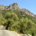 Route de Ota, Corse